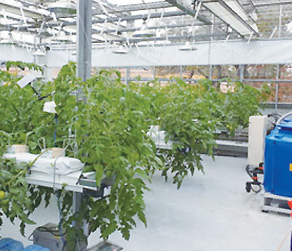 지능형 농장 조성