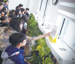 수직 정원(전주 양현초)