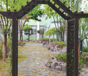 학교 숲(대구 서대구초) 