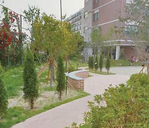 학교 숲(울산 학성초)