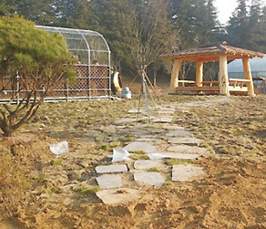 학교 숲(전주 생명과학고)