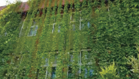 벽면녹화(수원 고색고)