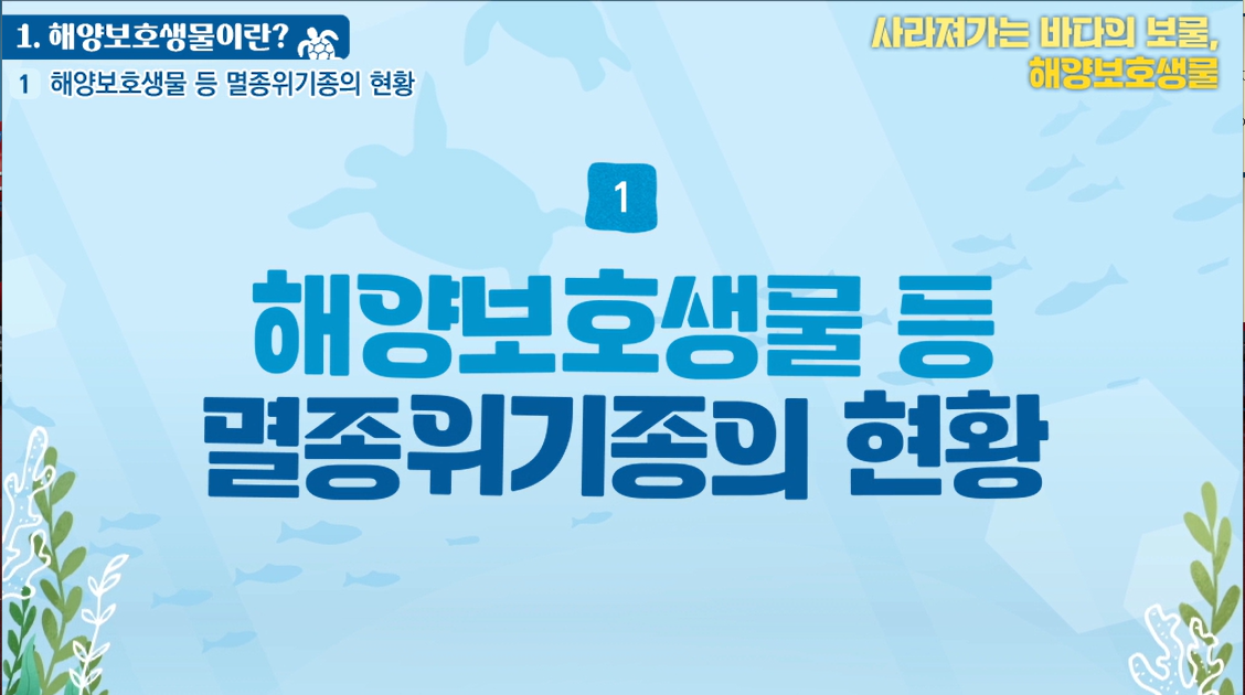 사라져가는 바다의 보물, 해양보호생물 - 5차시(해양보호생물 제대로 보호하기)