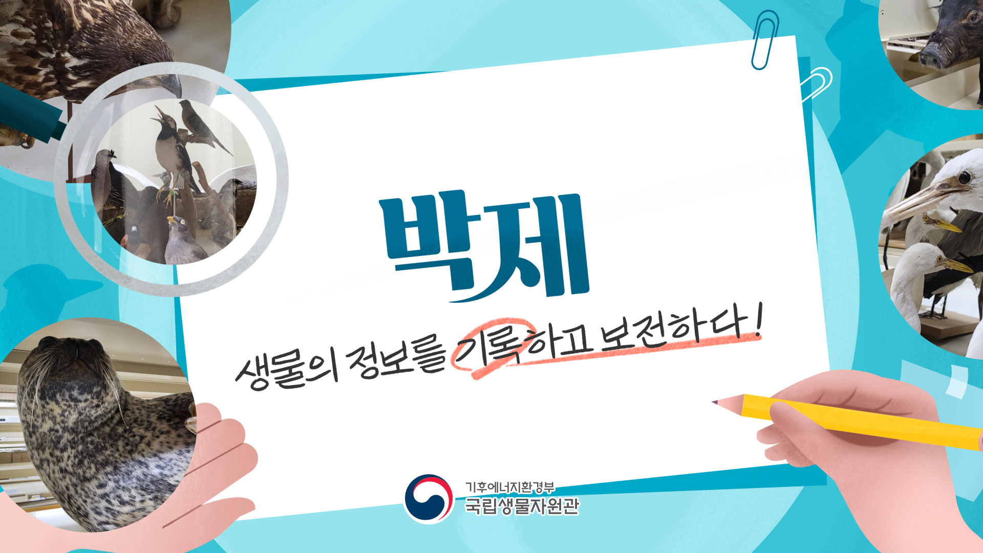 [국립생물자원관] 박제, 생물의 정보를 기록하고 보전하다!