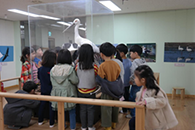 박제 및 사진 전시관 관람